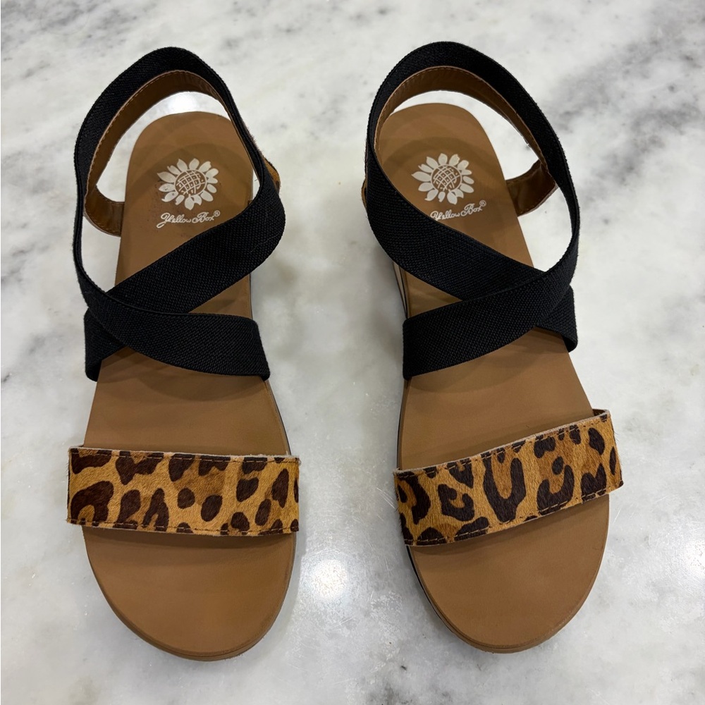 Yellow Box Leopard and Black Sandals
